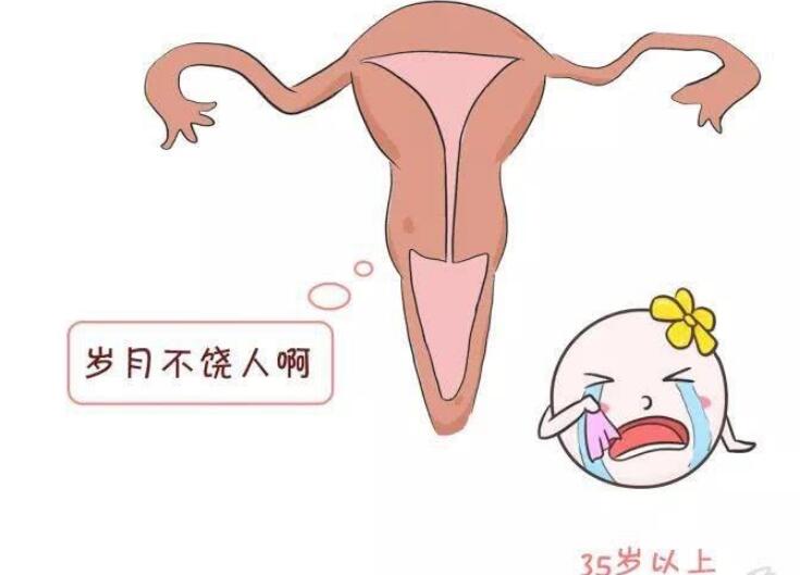 女性保健品市场